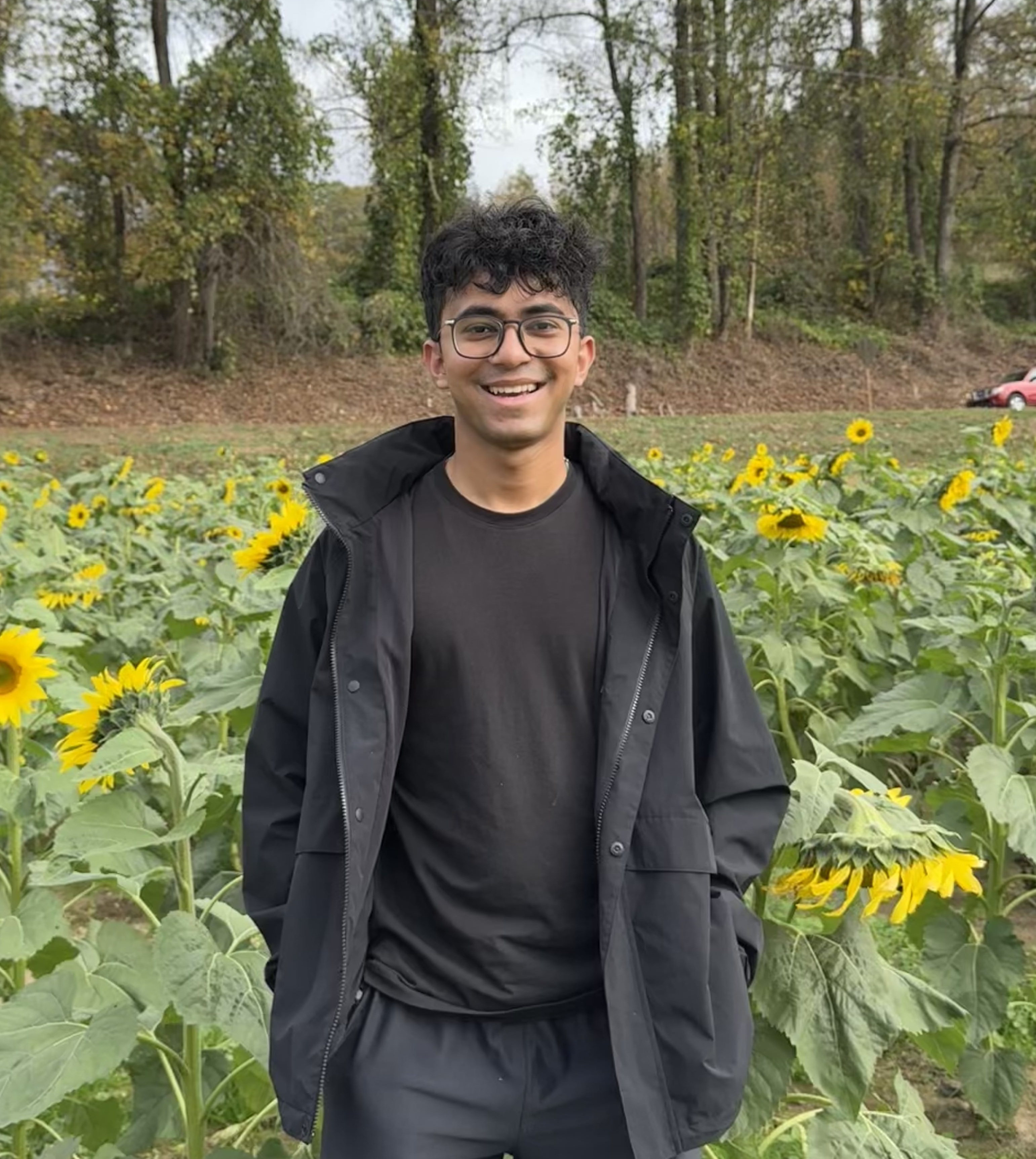 Standing in a sunflower field